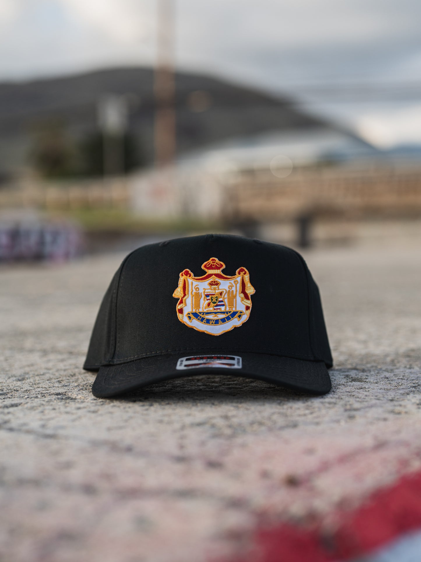 COAT OF ARMS HAT