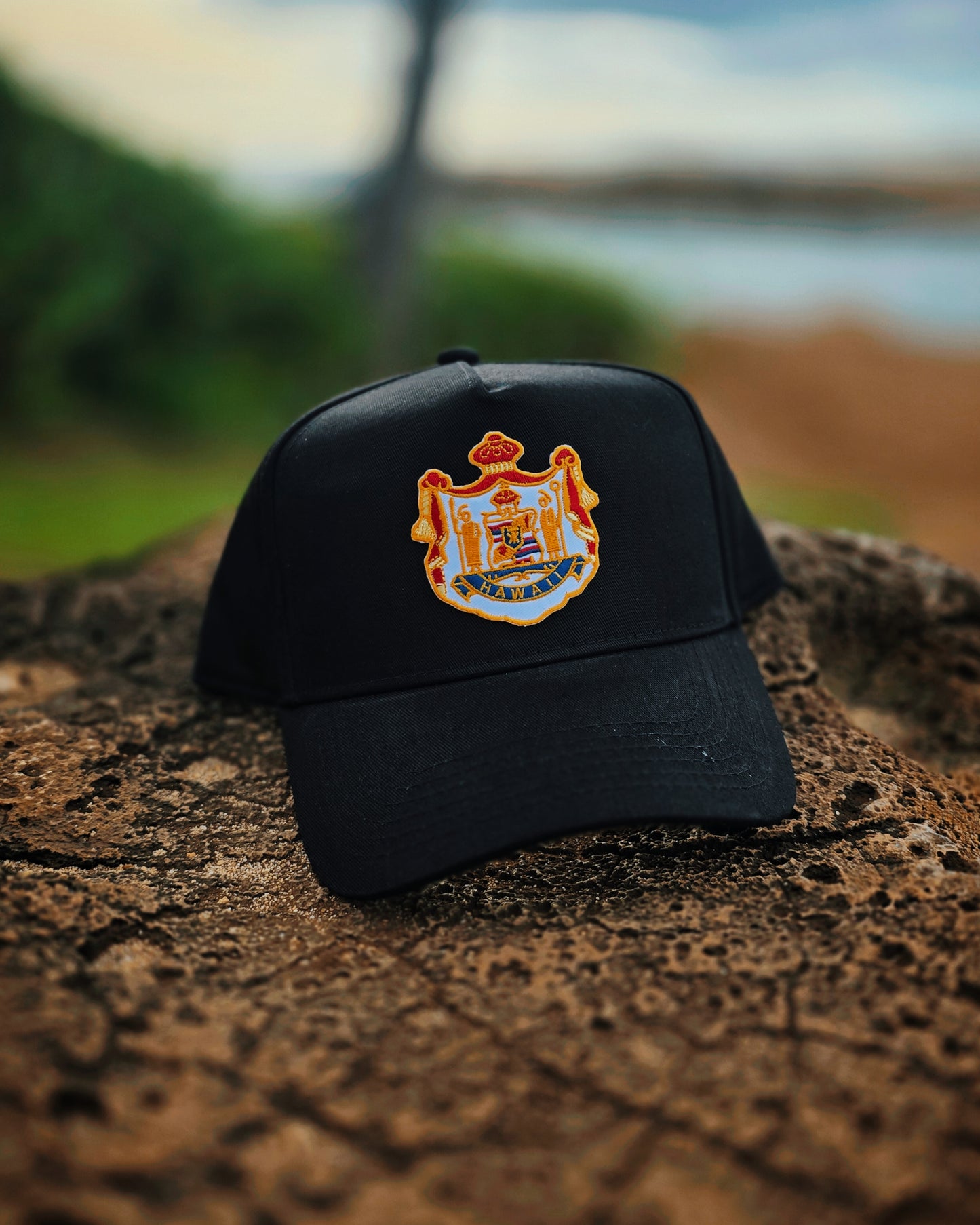 COAT OF ARMS HAT