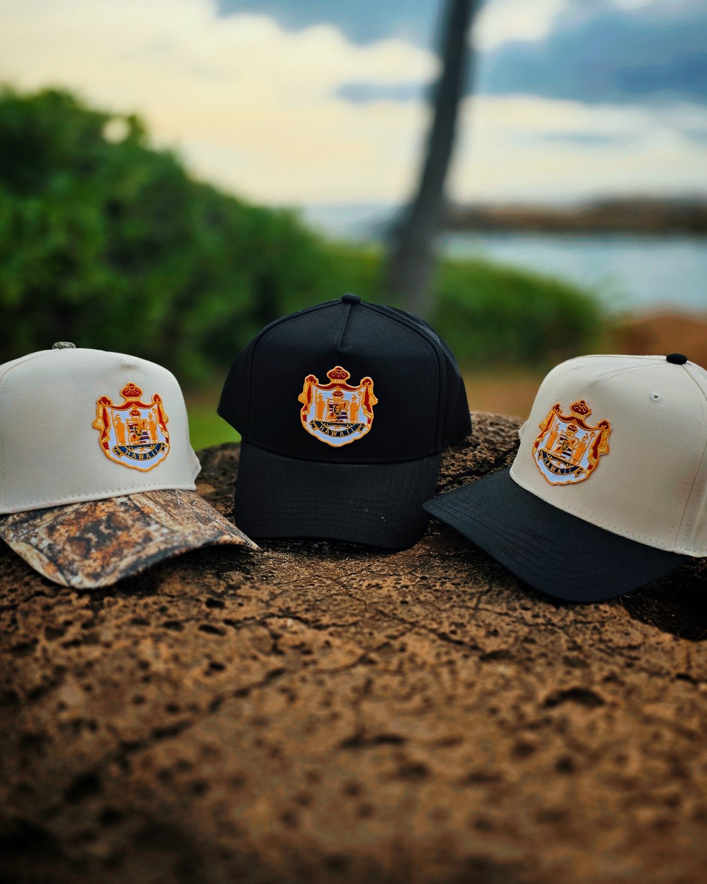 COAT OF ARMS HAT