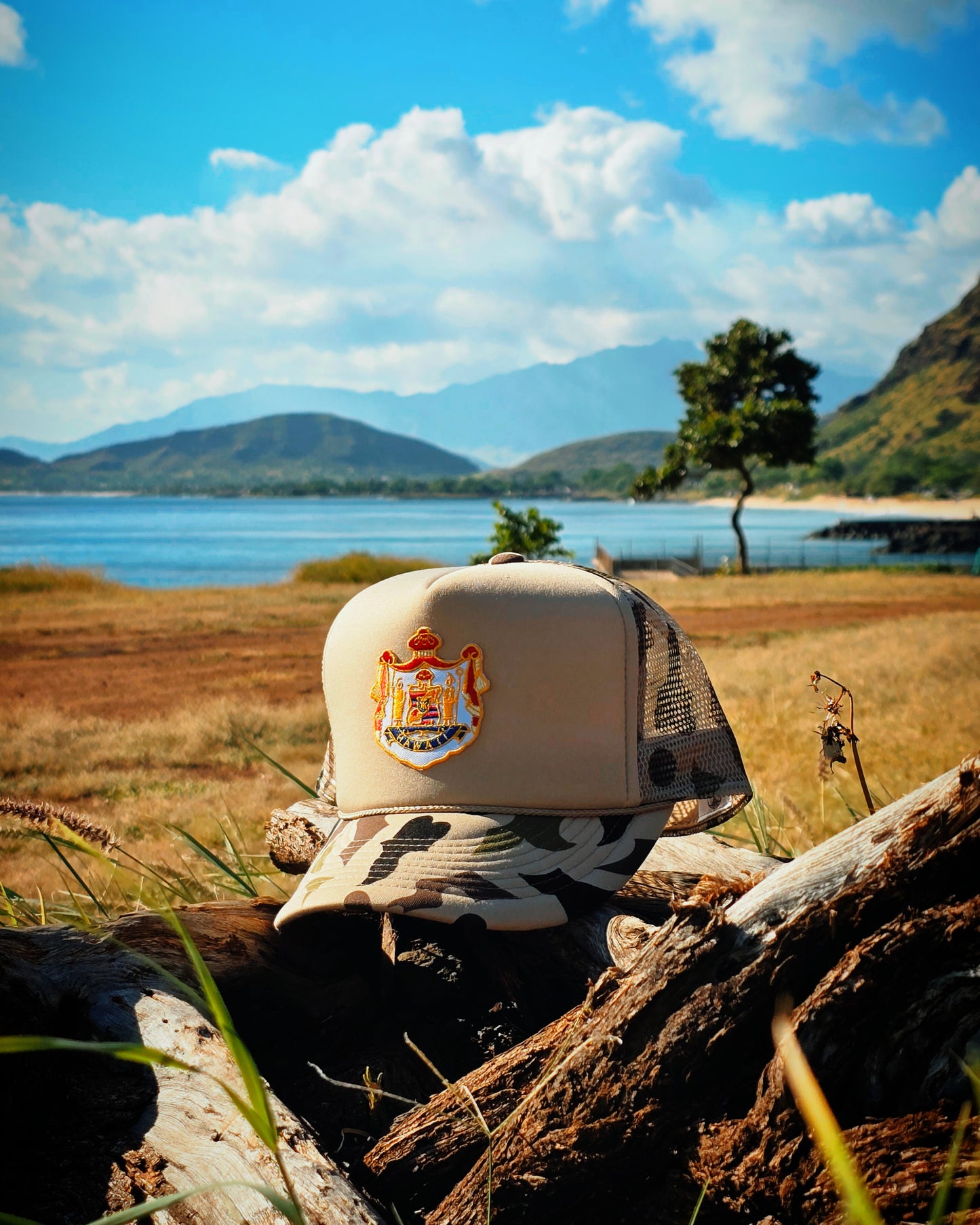COAT OF ARMS TRUCKER HAT