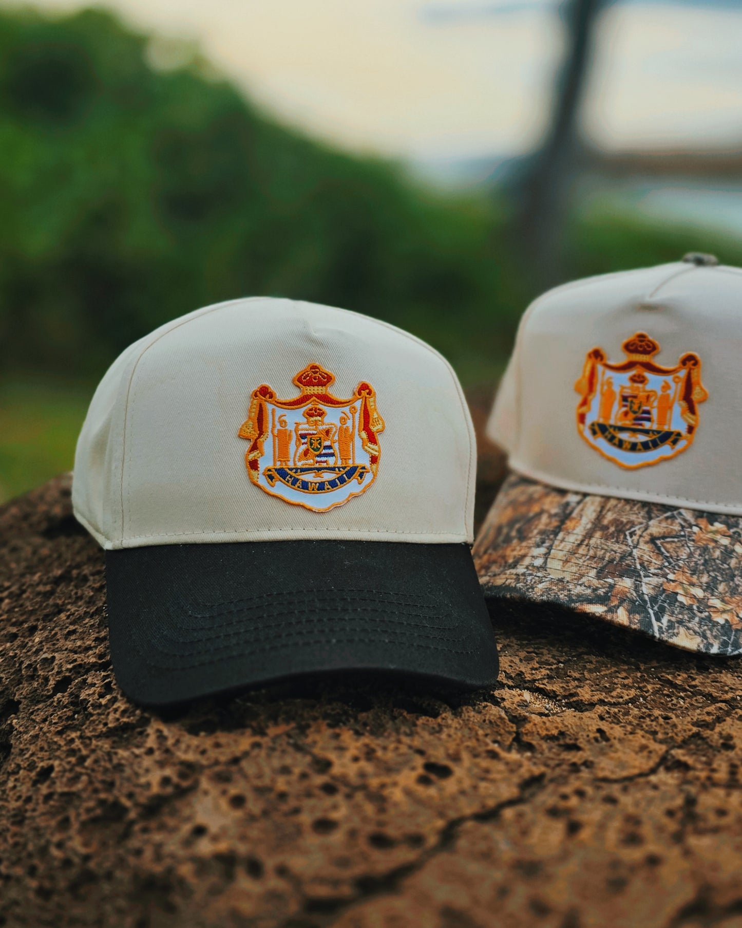 COAT OF ARMS HAT