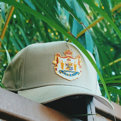 Coat of Arms Snapback Hat