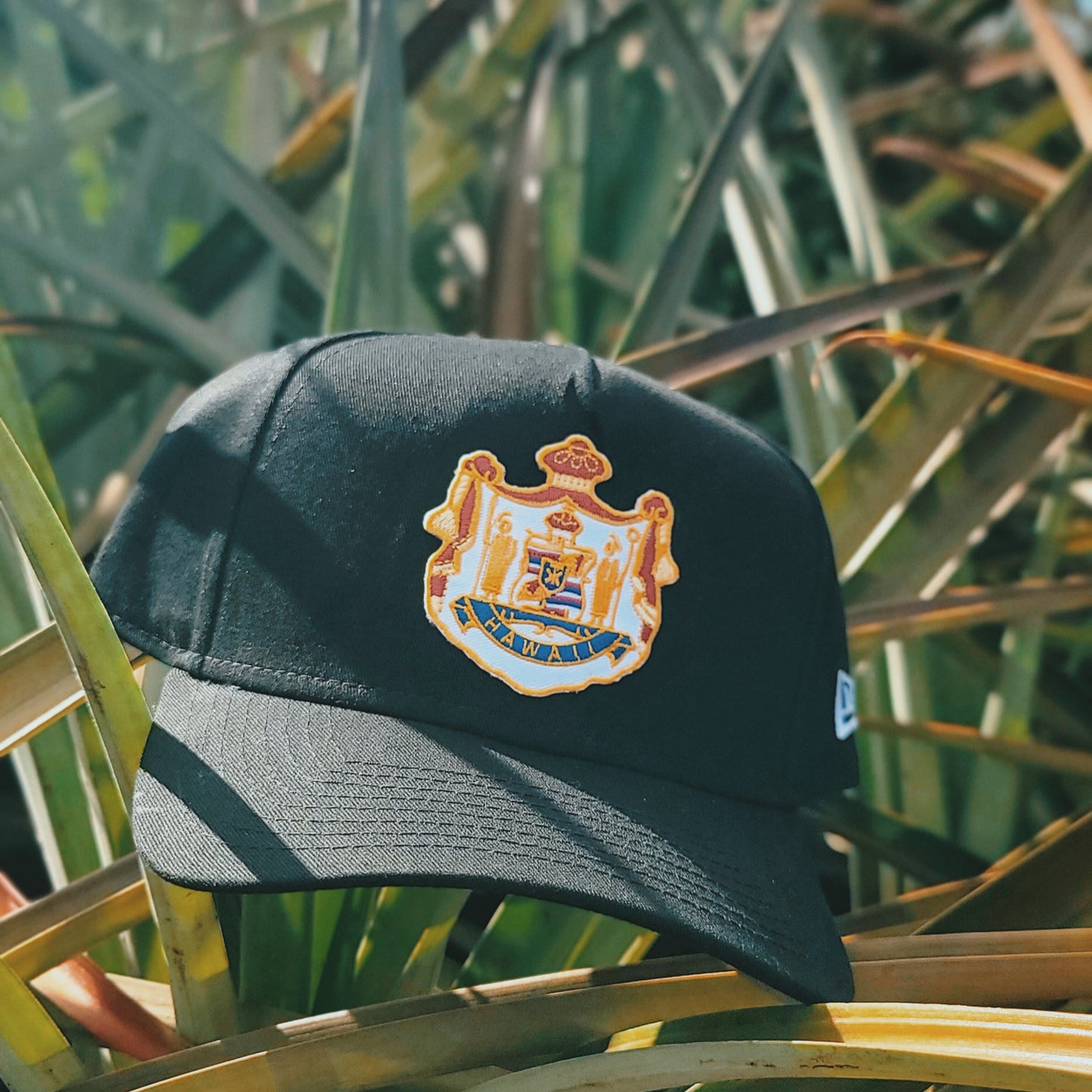 Coat of Arms Snapback Hat